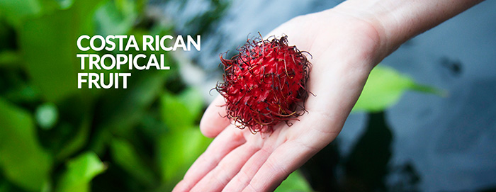 Rambutan - red spiky fruit Costa Rica