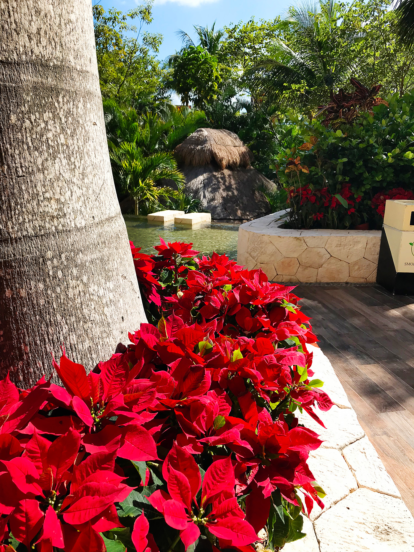 Villa Del Palmar - Cancun Luxury Travel - Resort Review