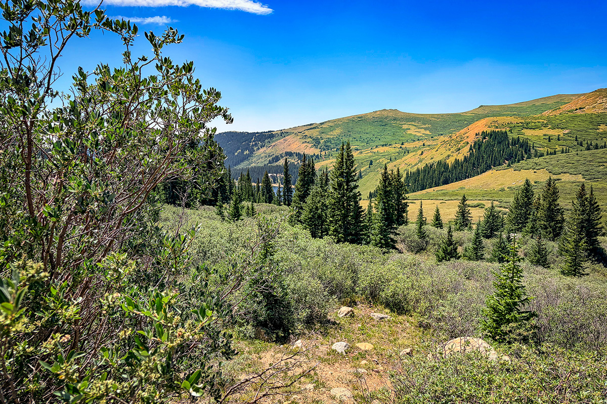 Scenic drive along Guanella Pass near Grant, Colorado